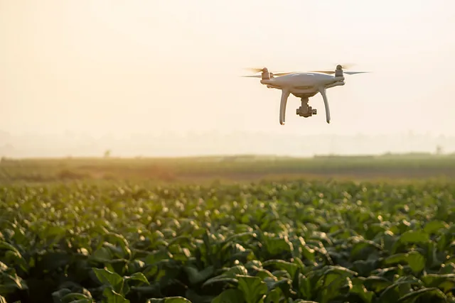 dron volando